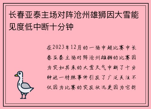 长春亚泰主场对阵沧州雄狮因大雪能见度低中断十分钟